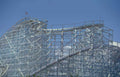 kingda ka roller Vintage A4 Photo Print