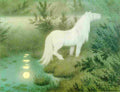 kitt The Nix as a Brook Horse Art A4 Photo Print
