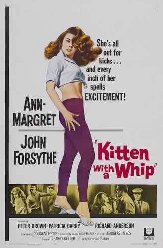 kitten with a whip  01 film star poster A4 Photo Print