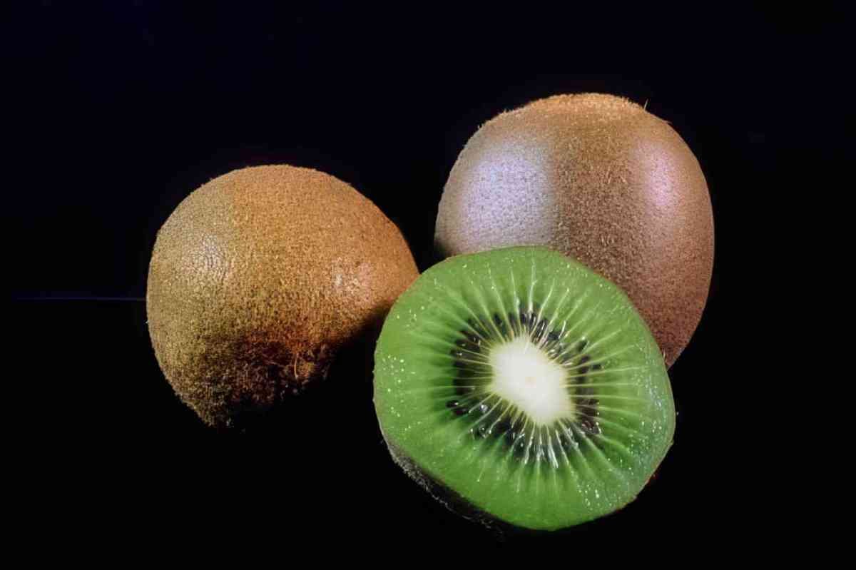 kiwi fruit halved 1 A4 Photo Print