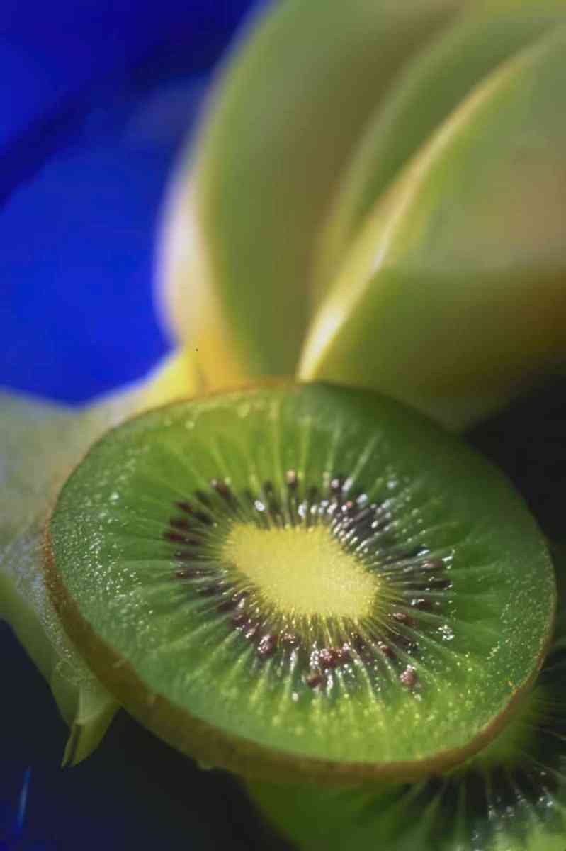 kiwi slice detail A4 Photo Print
