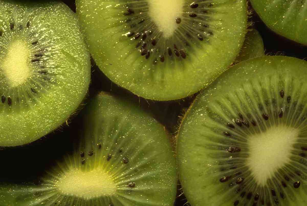 kiwi slices halved A4 Photo Print