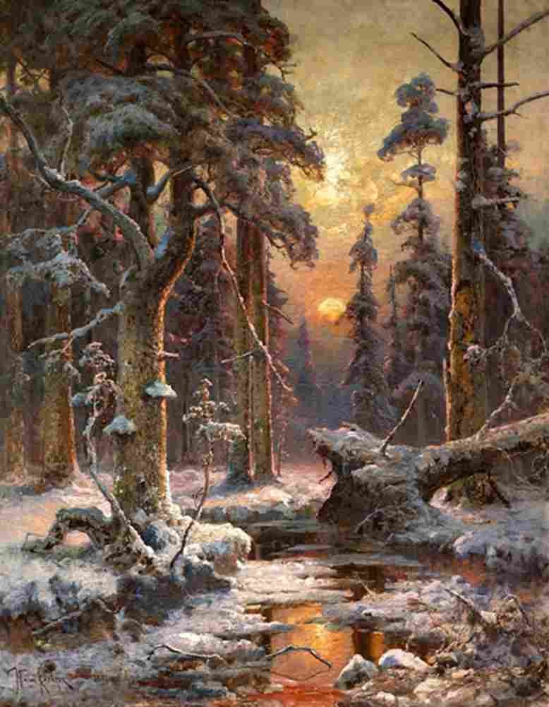 klever julius sunset in a spruce forest Art A4 Photo Print