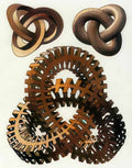 knots colour mc escher 1965 A4 Photo Print