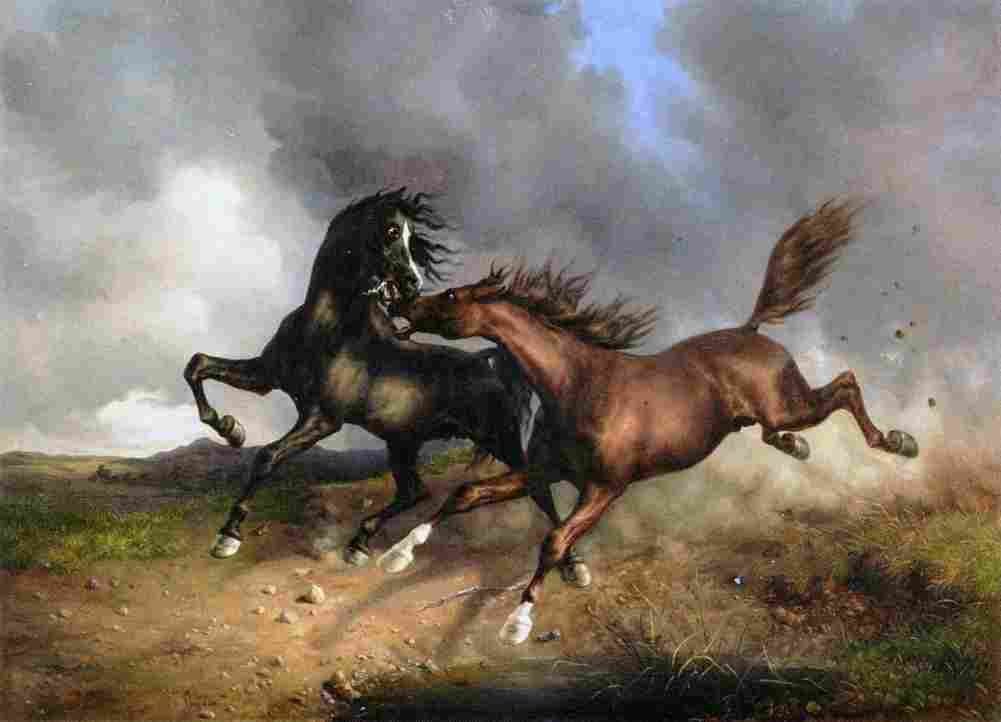 koller rudolf horses during a thunderstorm Art A4 Photo Print