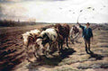 koller rudolf ploughing ox Art A4 Photo Print
