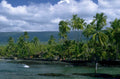 kona palm ocean 1980s 1990s A4 Photo Print