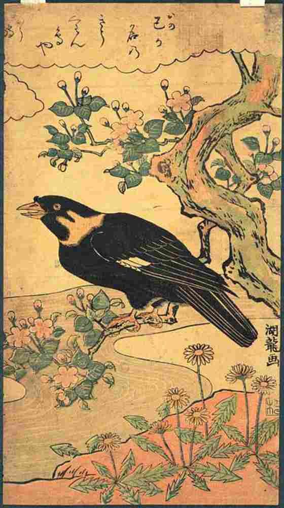 koryusai Myna Bird Perched on the Branch of a Flowering Tree Art A4 Photo Print