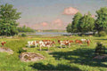 krou Grazing Livestock Art A4 Photo Print