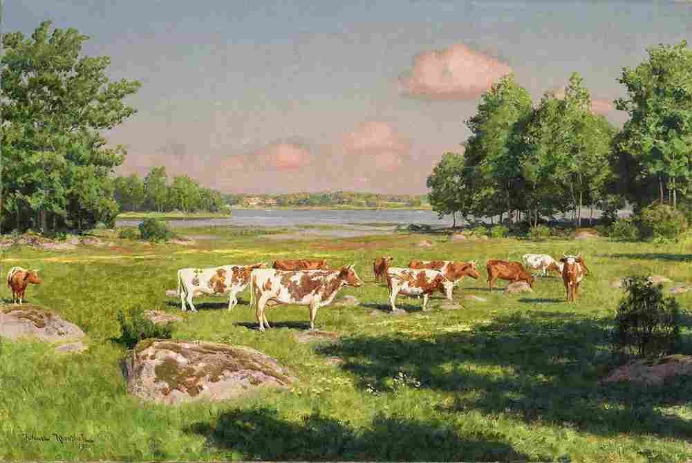 krou Grazing Livestock Art A4 Photo Print