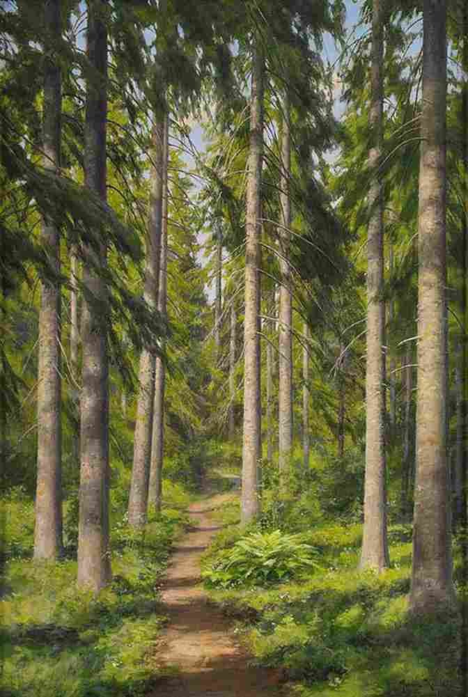 krou Sunlit Forest Path Art A4 Photo Print