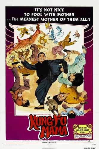 kung fu mama  01 film star poster A4 Photo Print