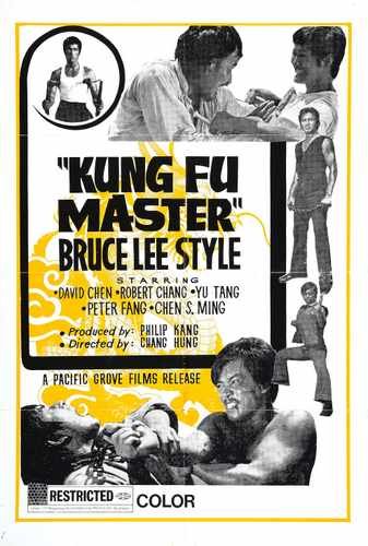 kung fu master bruce lee style  01 film star poster A4 Photo Print