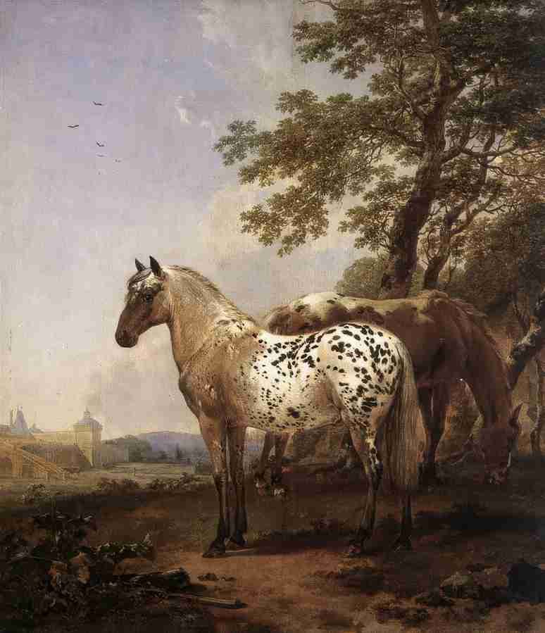l 2horse Art A4 Photo Print