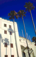 la city hall 1980s 1990s A4 Photo Print