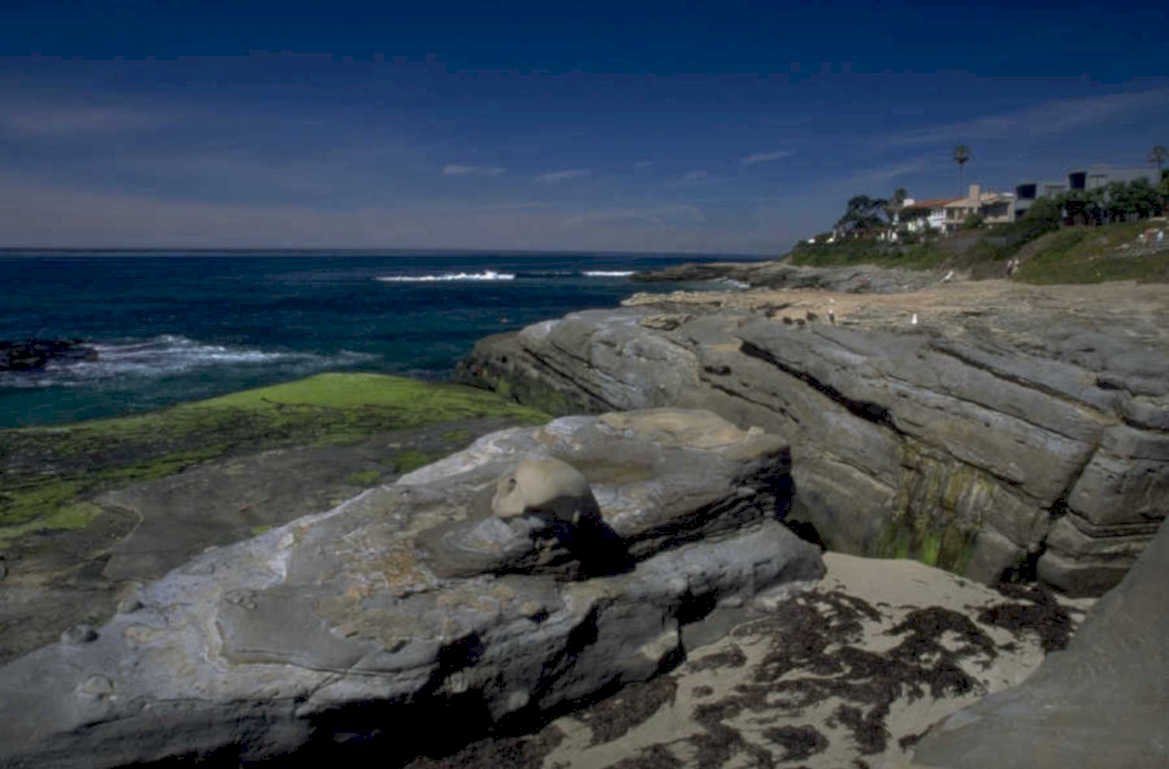 la jolla shore 1980s 1990s A4 Photo Print