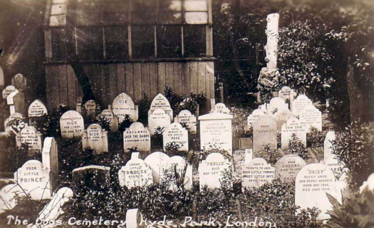 ladies cemetery hydeVintage 1880s 1900s A4 Photo Print