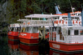 lady bowen milford 1980s 1990s A4 Photo Print