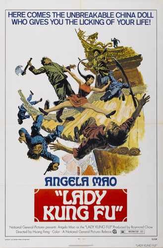 lady kung fu  01 film star poster A4 Photo Print
