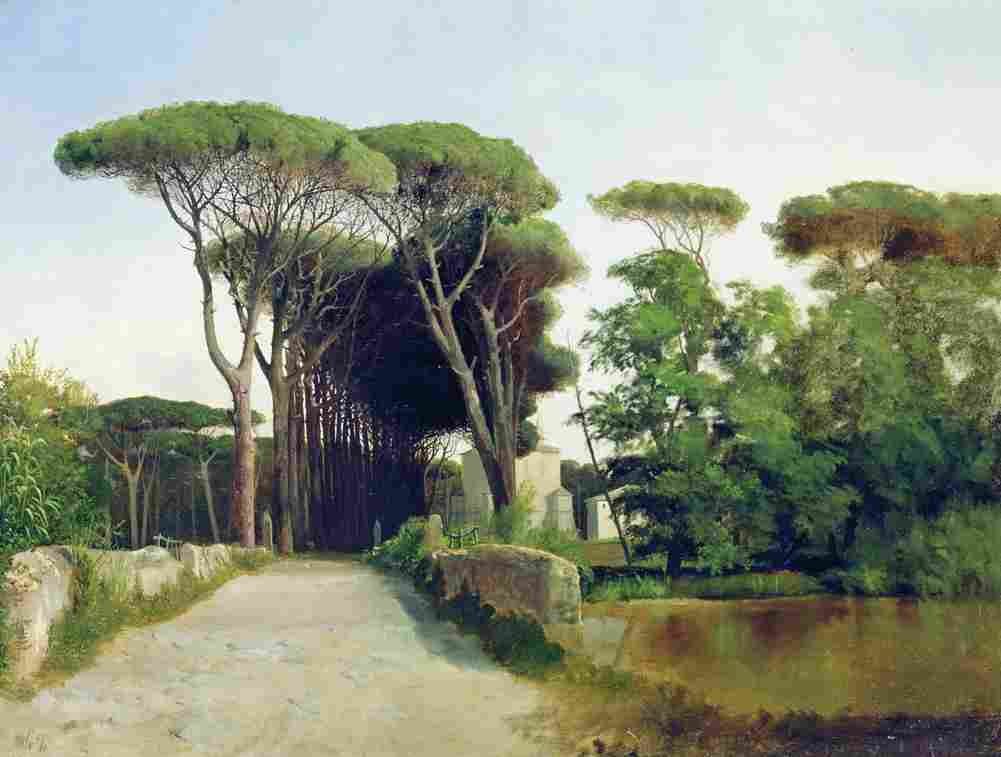 lagorio alley of pine trees Art A4 Photo Print