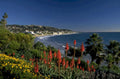 laguna beach flowers 1980s 1990s A4 Photo Print