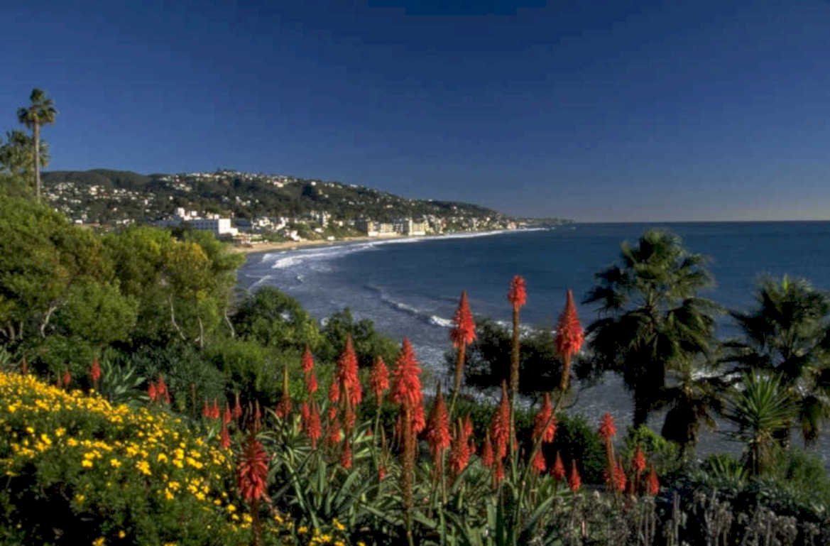 laguna beach flowers 1980s 1990s A4 Photo Print