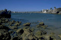 laguna harbor swimmers 1980s 1990s A4 Photo Print