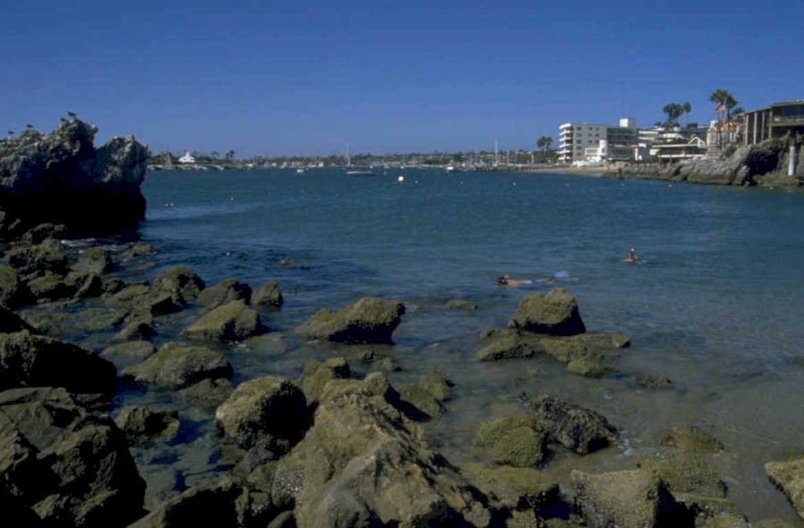 laguna harbor swimmers 1980s 1990s A4 Photo Print