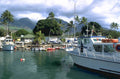 lahaina divers harbor 1980s 1990s A4 Photo Print