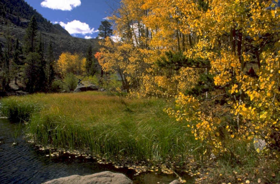 lake aspen autumn 1980s 1990s A4 Photo Print