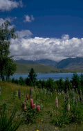 lake baikal mountains 1980s 1990s A4 Photo Print
