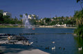 lake eola waterfowl 1980s 1990s A4 Photo Print