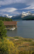 lake macarthur wildlife 1980s 1990s A4 Photo Print