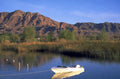 lake mead boat 1980s 1990s A4 Photo Print