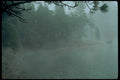 lake pine fog1980s 1990s A4 Photo Print
