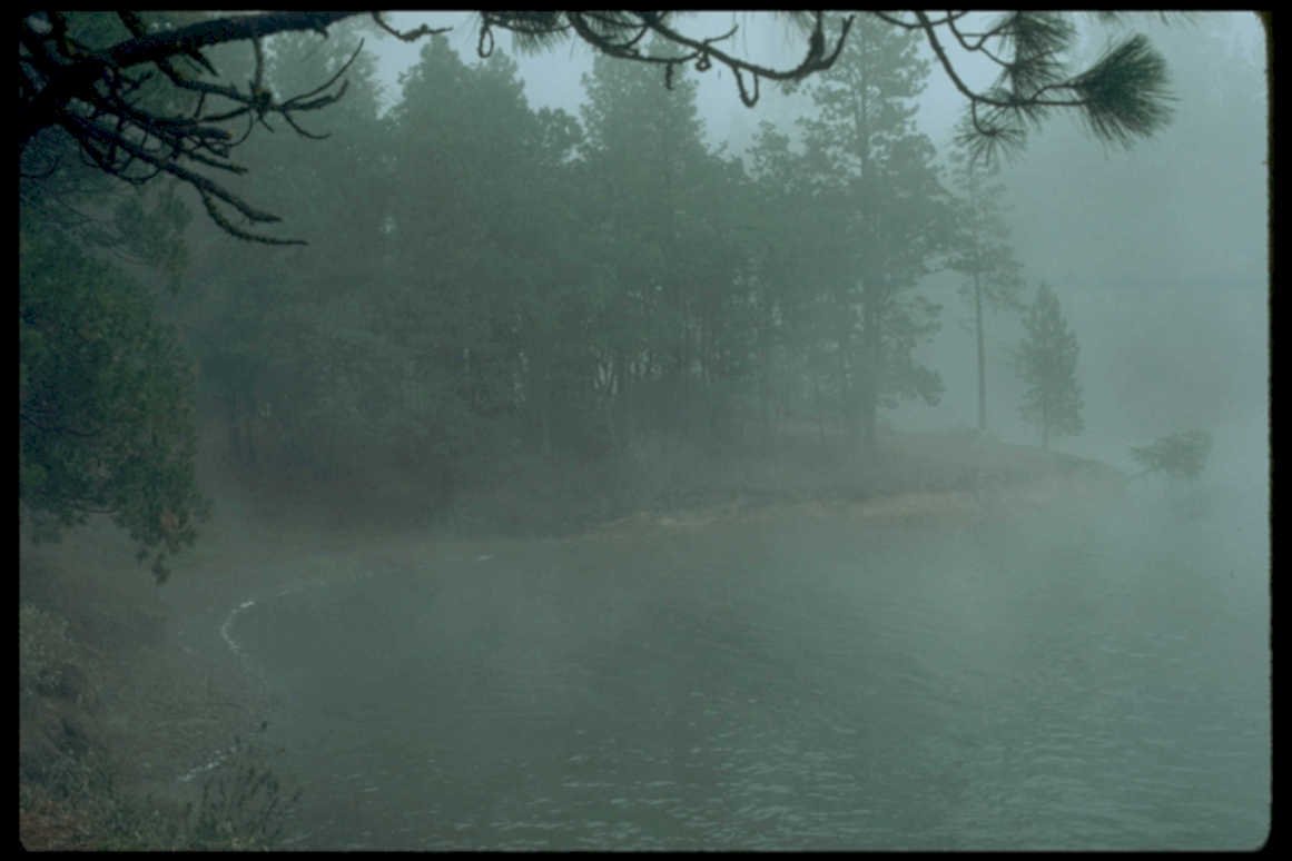 lake pine fog1980s 1990s A4 Photo Print