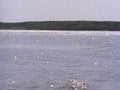 lake reflection waterway1980s 1990s A4 Photo Print