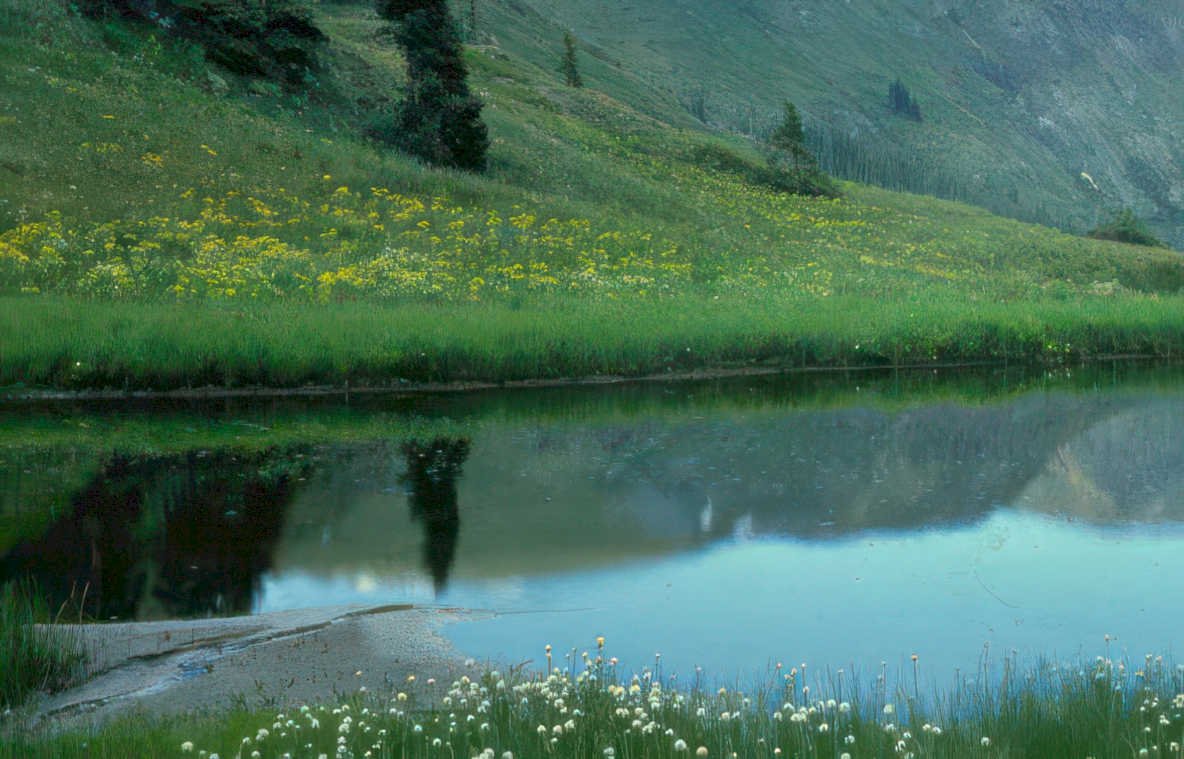 lake reflection wildflowers Vintage A4 Photo Print