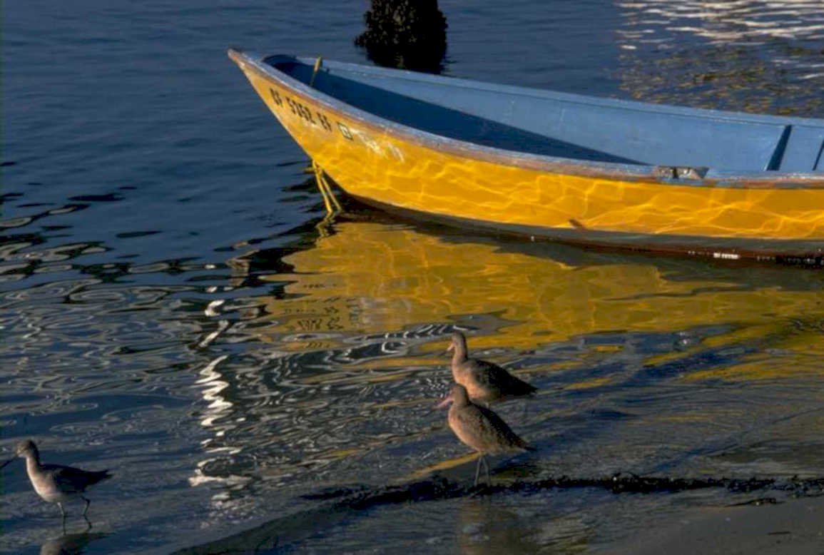 lake reflections rowboat 1980s 1990s A4 Photo Print