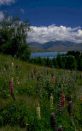 lake serenity mountains 1980s 1990s A4 Photo Print