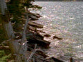 lake shoreline rocks1980s 1990s A4 Photo Print