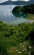 lake te anau 1980s 1990s A4 Photo Print 42