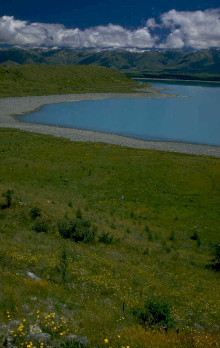 lake tekapo landscape 1980s 1990s A4 Photo Print 43