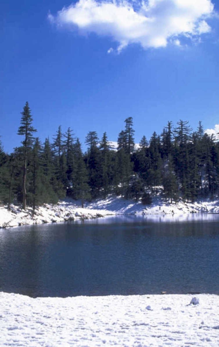lake trees snow 1980s 1990s A4 Photo Print