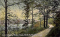 lakes walk rudyardVintage 1880s 1900s A4 Photo Print