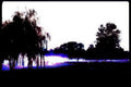 lakeside silhouettes sky Vintage A4 Photo Print