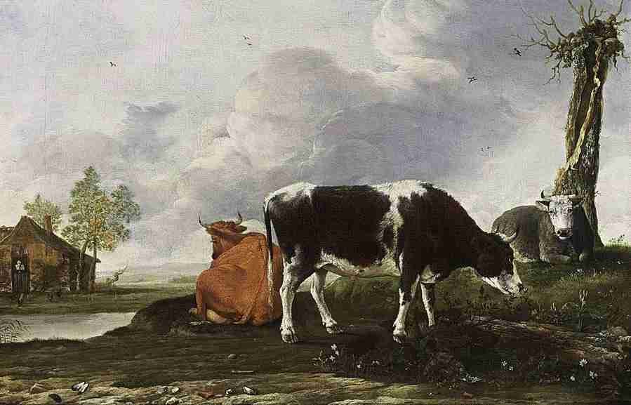 land cow 3 Art A4 Photo Print