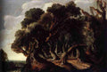 landscap 21 Art A4 Photo Print