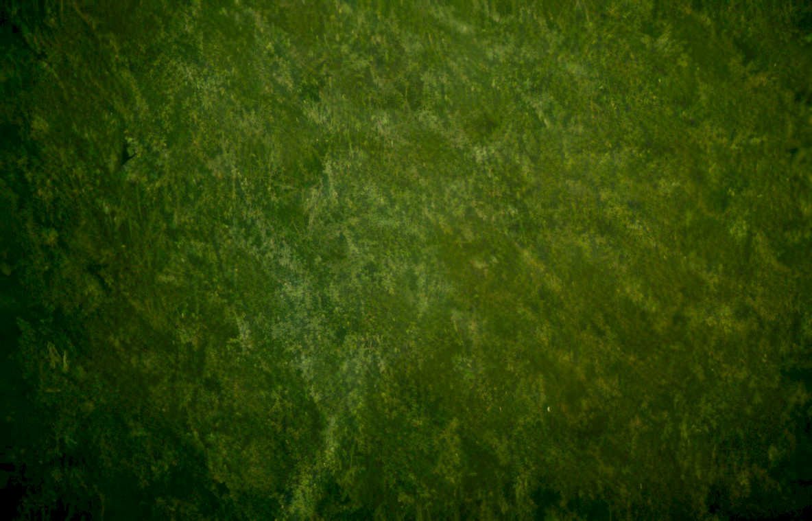 landscape green night Vintage A4 Photo Print