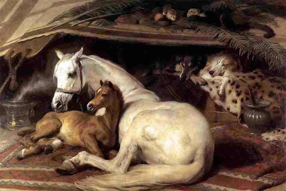 landseer Arab Tent Art A4 Photo Print